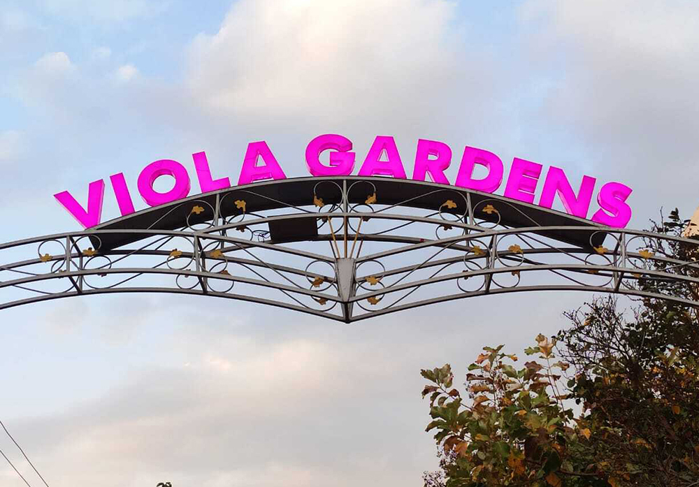 Viola Gardens